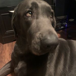 Meet your Posher, Caleb